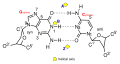 Nucleic acid double helix