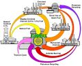CANDU fuel cycles