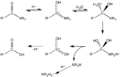 Acid-Catalyzed Amide Hydrolysis