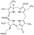 Luciferin structure in dinoflagellates