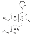 Salvinorin A and B